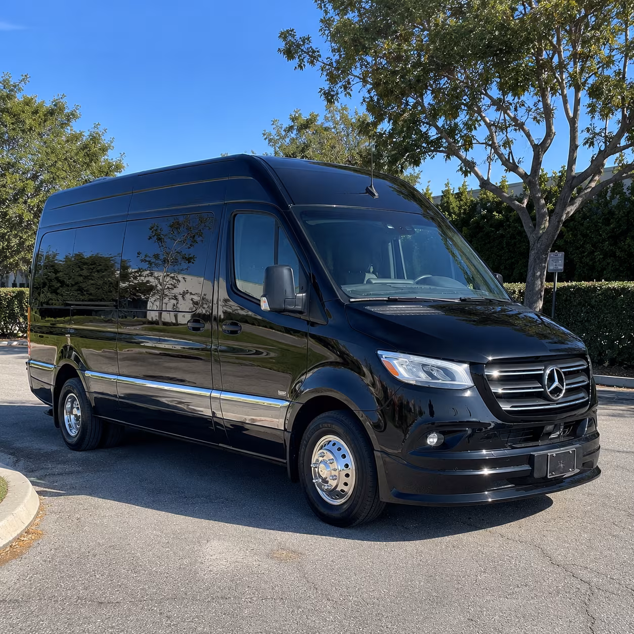 Houston Birthday Transportation